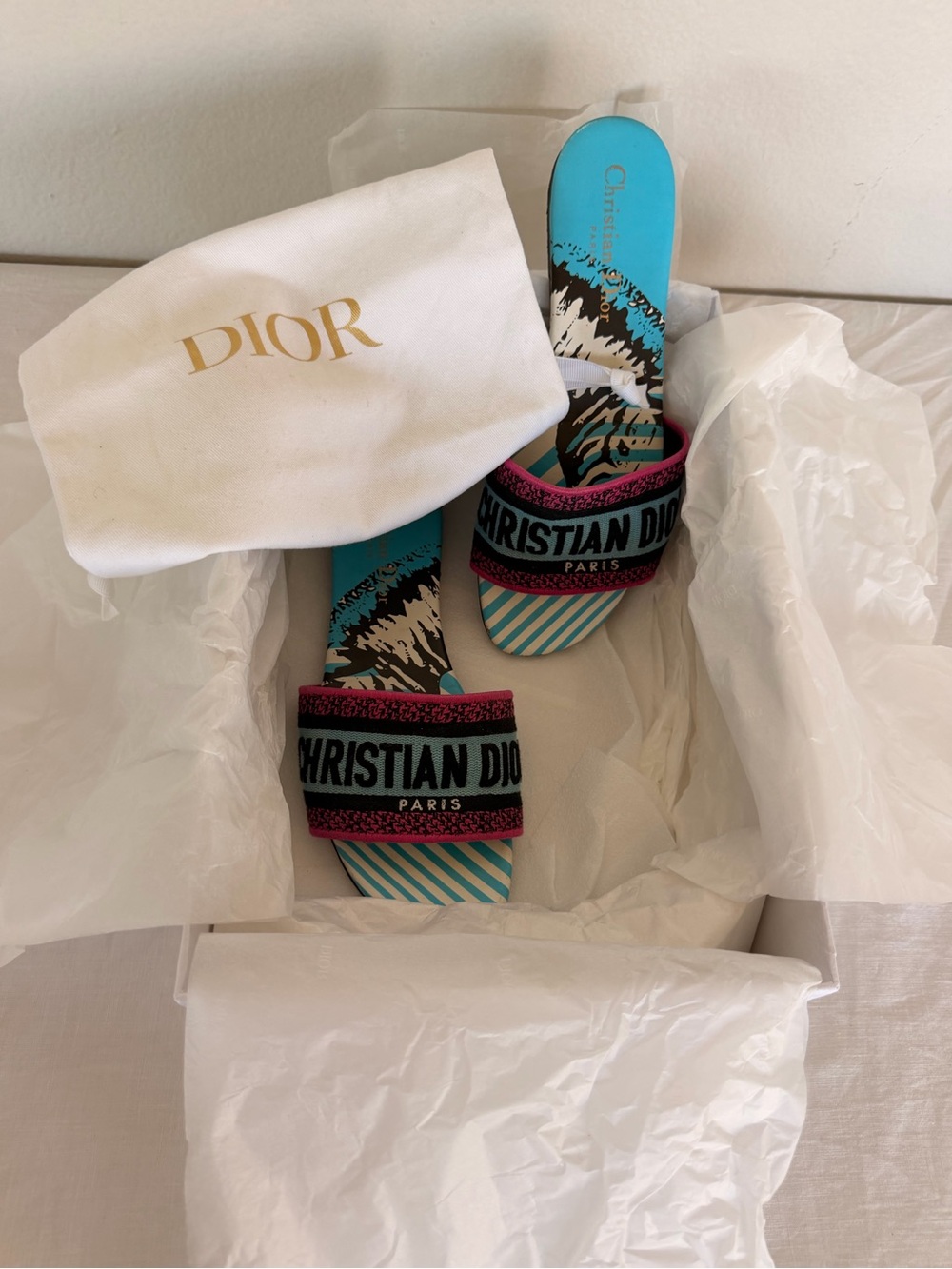 Christian Dior Blue & Pink Signature Slide Sandals
